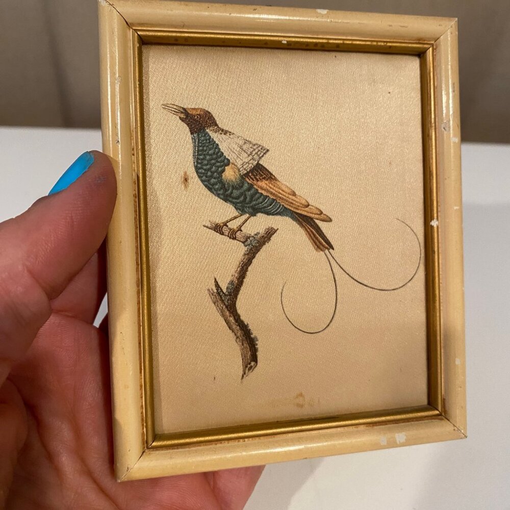 Vintage Silk Bird Print‎ 4.5x3.5” Beatrice D’Este Italy French Style - Picture 3 of 4
